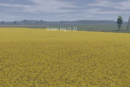 Improved Canola Texture for Farming Simulator 25 — 1
