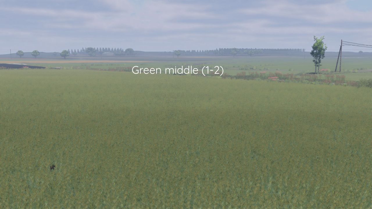 Ulepszona Tekstura Rzepaku Better Canola Texture dla Farming Simulator 25 - Zrzuty ekranu