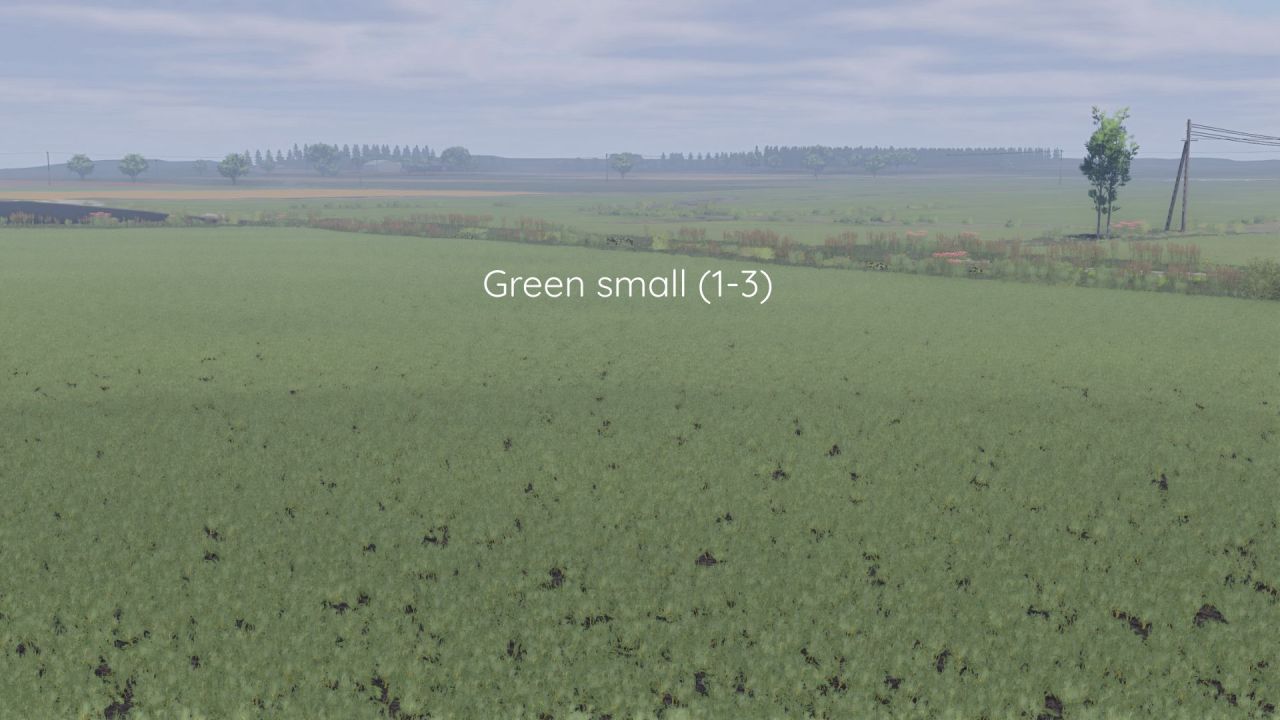 Ulepszona Tekstura Rzepaku Better Canola Texture dla Farming Simulator 25 - Zrzuty ekranu