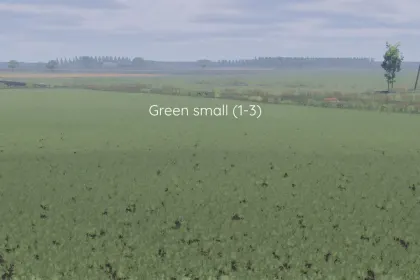 Improved Canola Texture for Farming Simulator 25 — 3