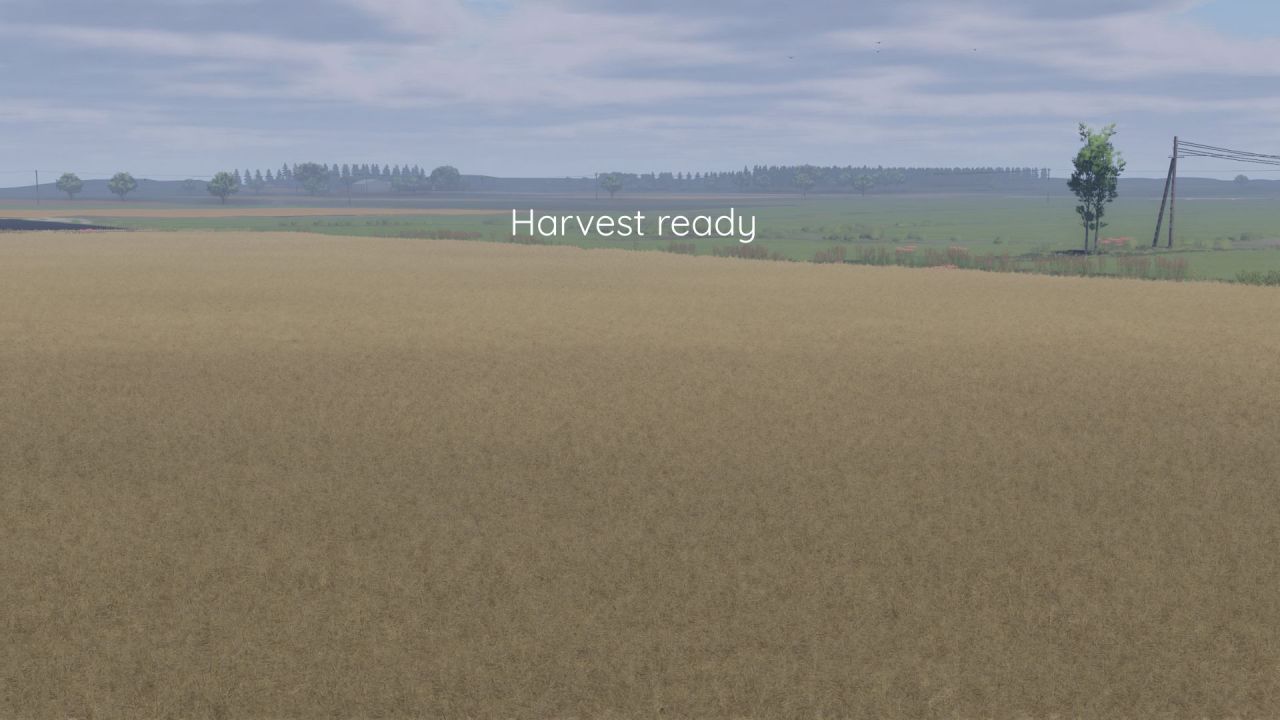 Ulepszona Tekstura Rzepaku Better Canola Texture dla Farming Simulator 25 - Zrzuty ekranu