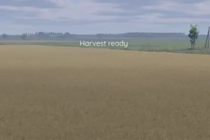 Improved Canola Texture for Farming Simulator 25 — 4