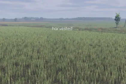 Improved Canola Texture for Farming Simulator 25 — 5