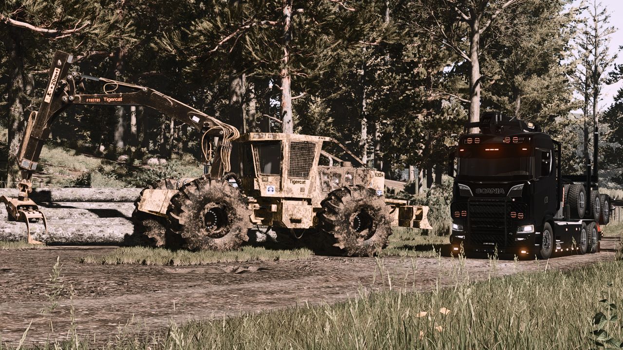 Лісозаготівельний трактор Tigercat Crane Skidder для Farming Simulator 25
