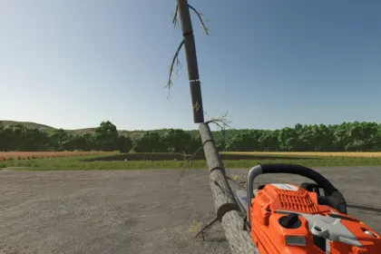 Скрипт Easy Logging для Farming Simulator 25 — 4