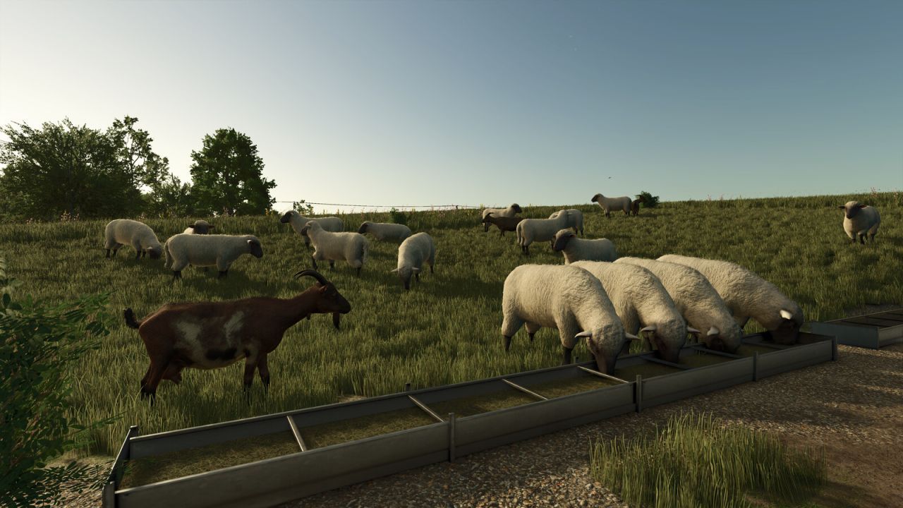 Effektive Bigger Animal Barns — Große Tierställe für 2000 Köpfe für Farming Simulator 25