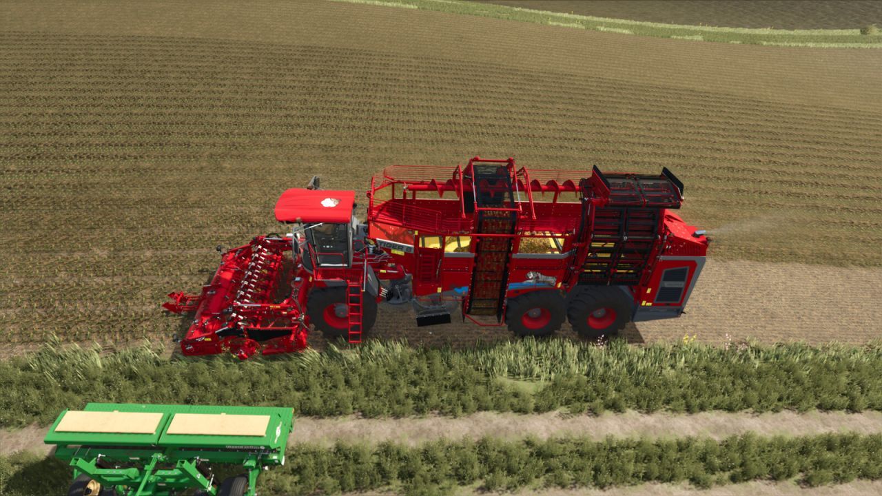 Potężny Kombajn ROPA Tiger6S Cotton Edition do Warzyw, Bawełny i Cebuli w FS25