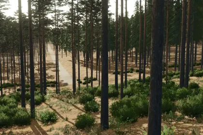 Map Persholmen for Farming Simulator 25 — 6