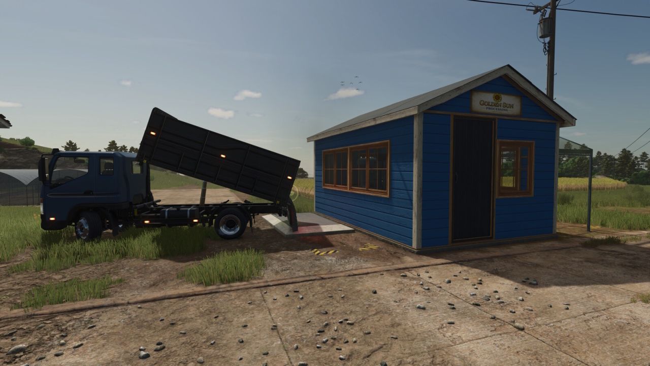 Соняшниковий бутик для Farming Simulator 25