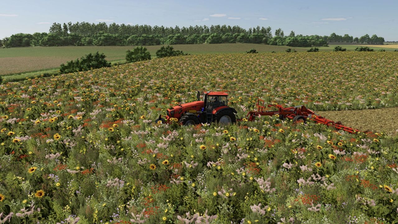 Карта Маленьке Литовське Село для Farming Simulator 25
