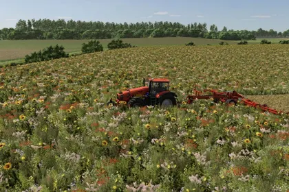Карта Маленьке Литовське Село для Farming Simulator 25 — 4