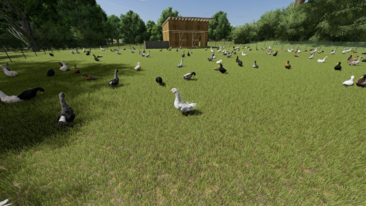 Карта Маленьке Литовське Село для Farming Simulator 25