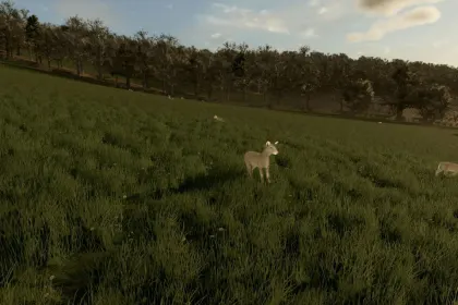 Фікс розміщення тварин для Farming Simulator 25
