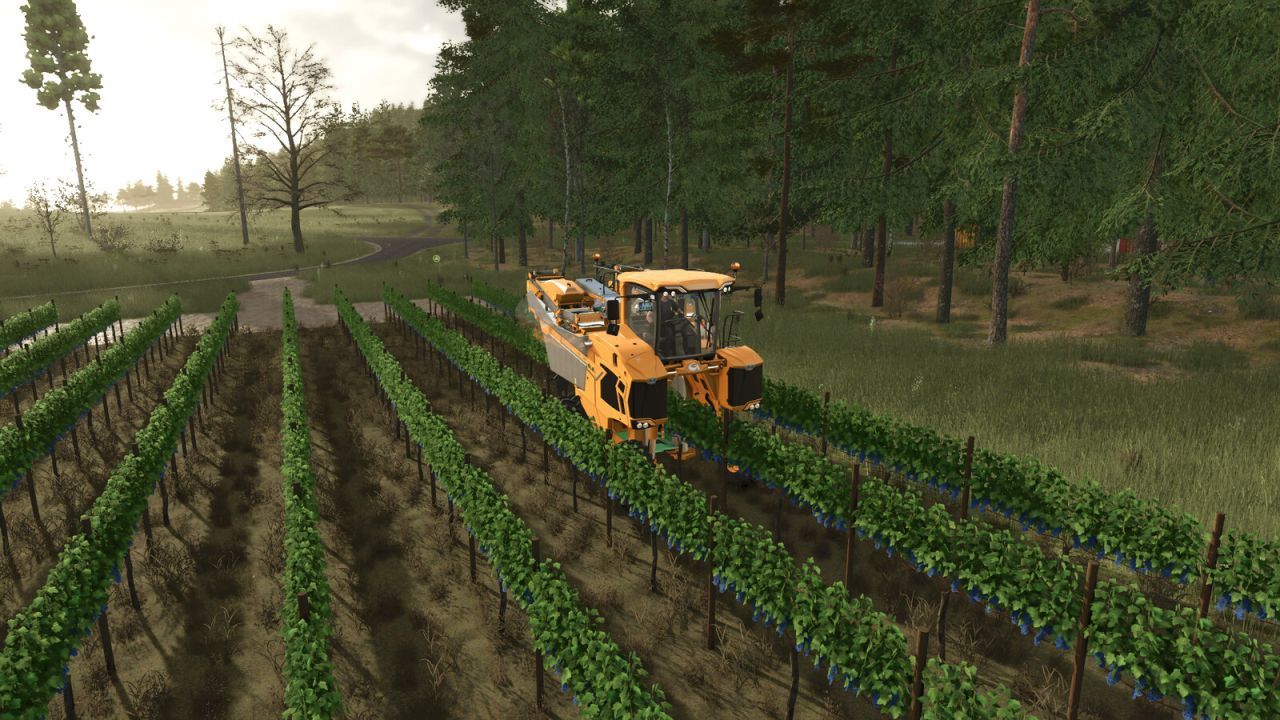 Виробництво винограду та оливок для Farming Simulator 25