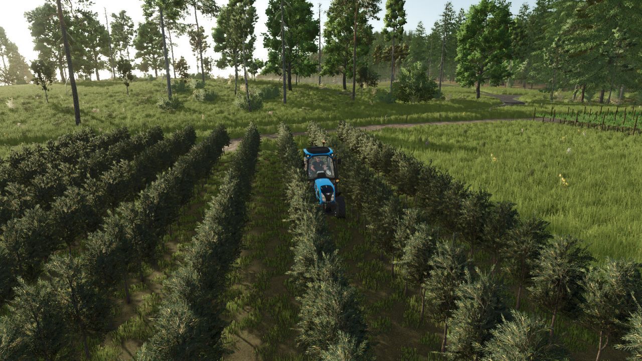 Виробництво винограду та оливок для Farming Simulator 25