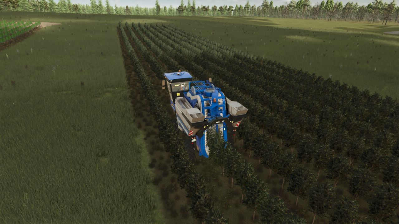 Виробництво винограду та оливок для Farming Simulator 25