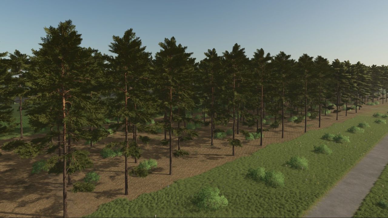 Карта Kotowo для Farming Simulator 25