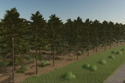 Карта Kotowo для Farming Simulator 25 — 2