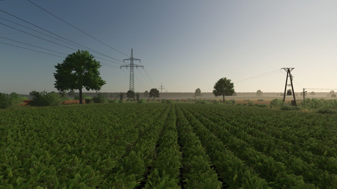 Карта Kotowo для Farming Simulator 25