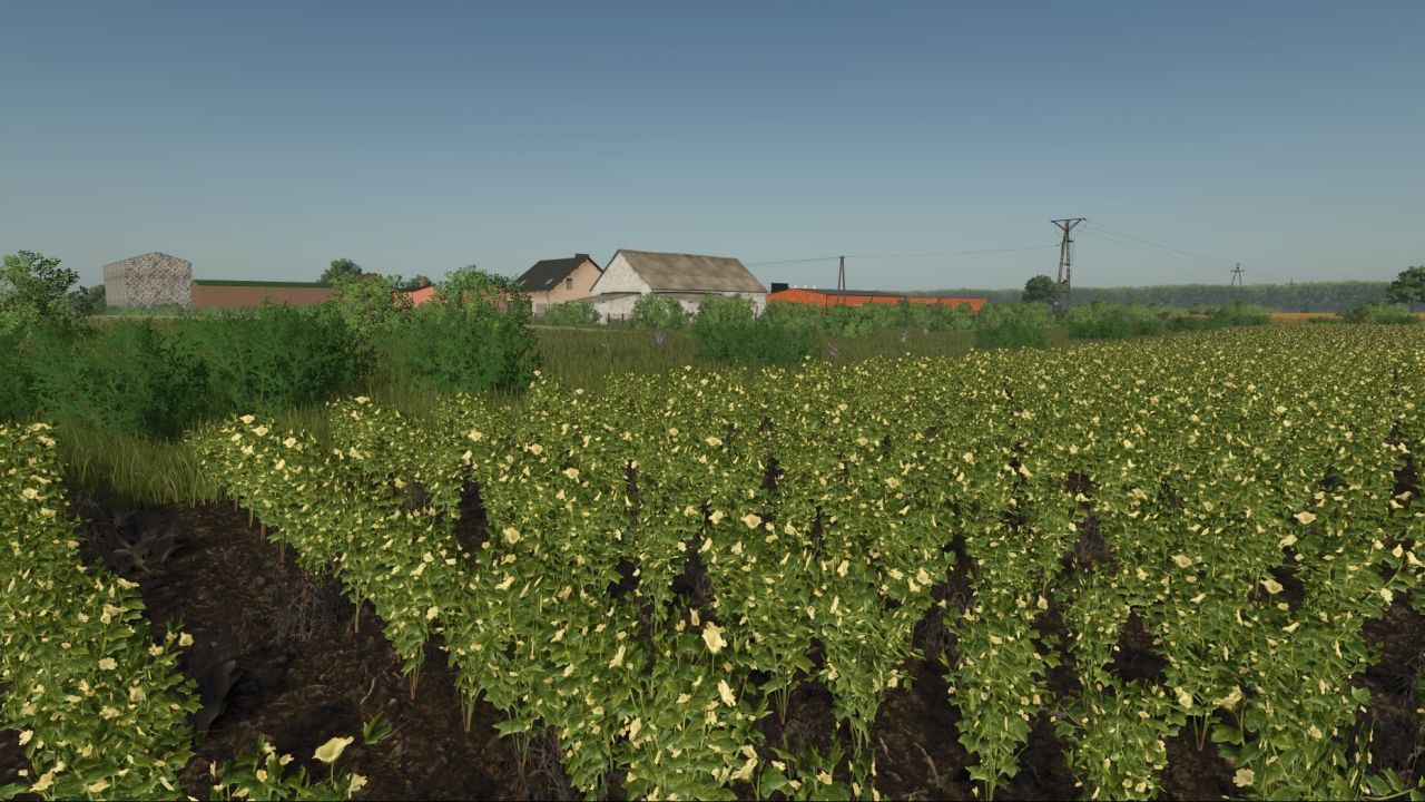 Карта Kotowo для Farming Simulator 25