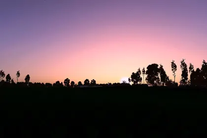 Reshade Preset Mastery for Farming Simulator 25 — 6
