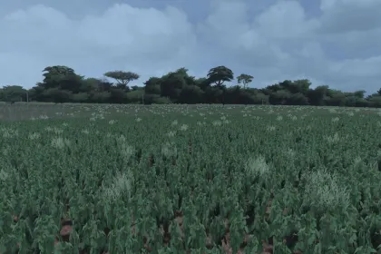 Mapa Faz Rondonia do Farming Simulator 22 — 2