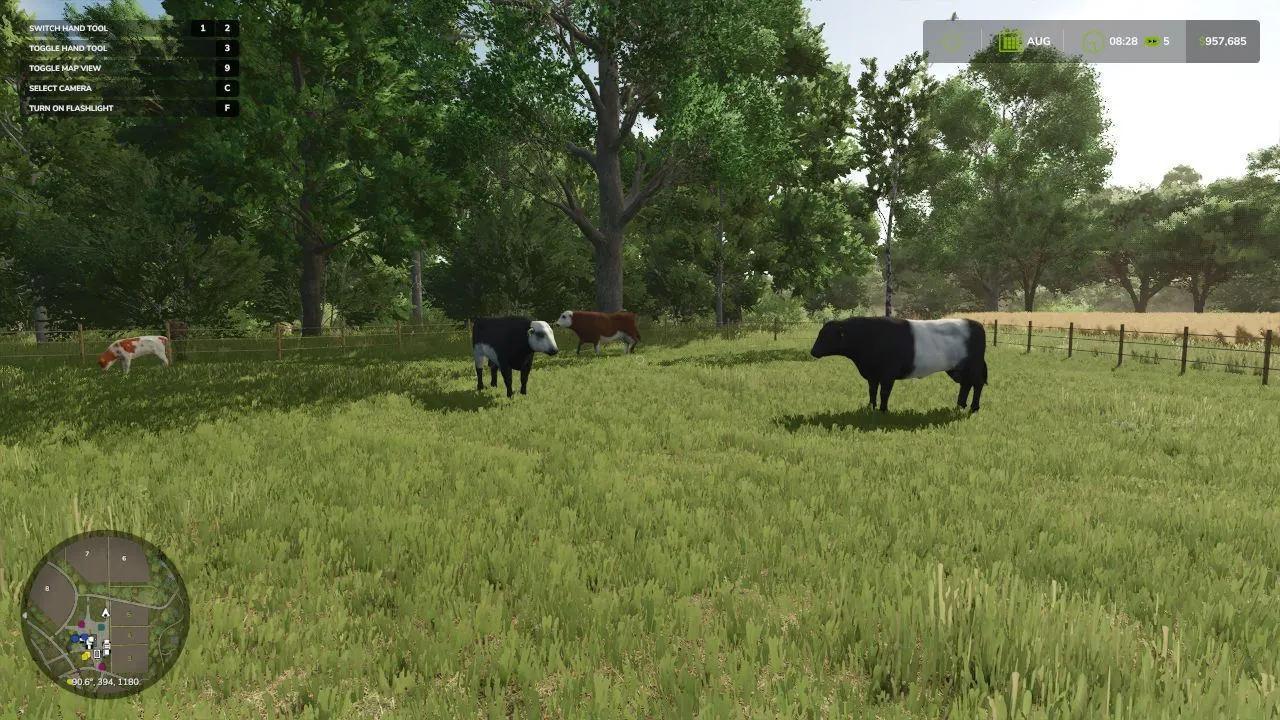 Новий Animal Pack – More Cattle Breeds Edition: Більше Порід ВРХ для Farming Simulator 25