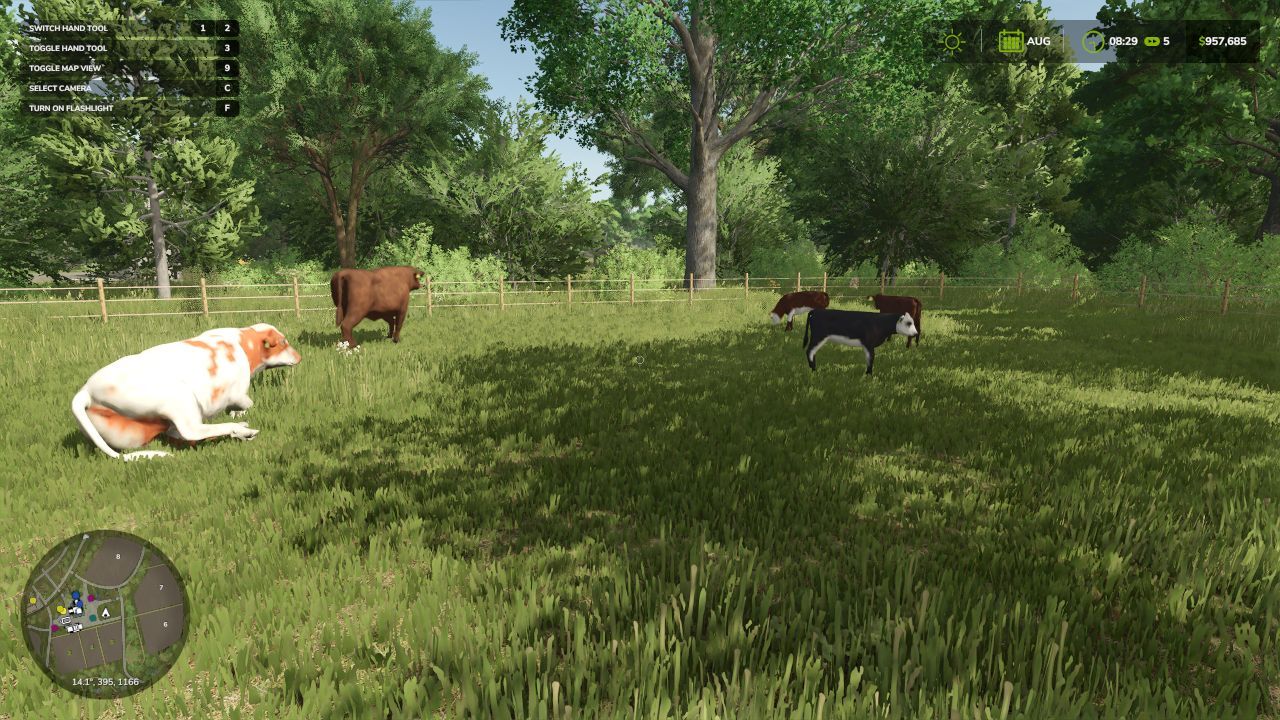 Новий Animal Pack – More Cattle Breeds Edition: Більше Порід ВРХ для Farming Simulator 25