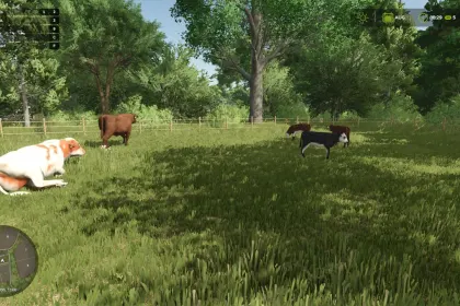 Новий Animal Pack – More Cattle Breeds Edition: Більше Порід ВРХ для Farming Simulator 25 — 2