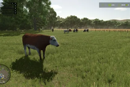 Новий Animal Pack – More Cattle Breeds Edition: Більше Порід ВРХ для Farming Simulator 25 — 4
