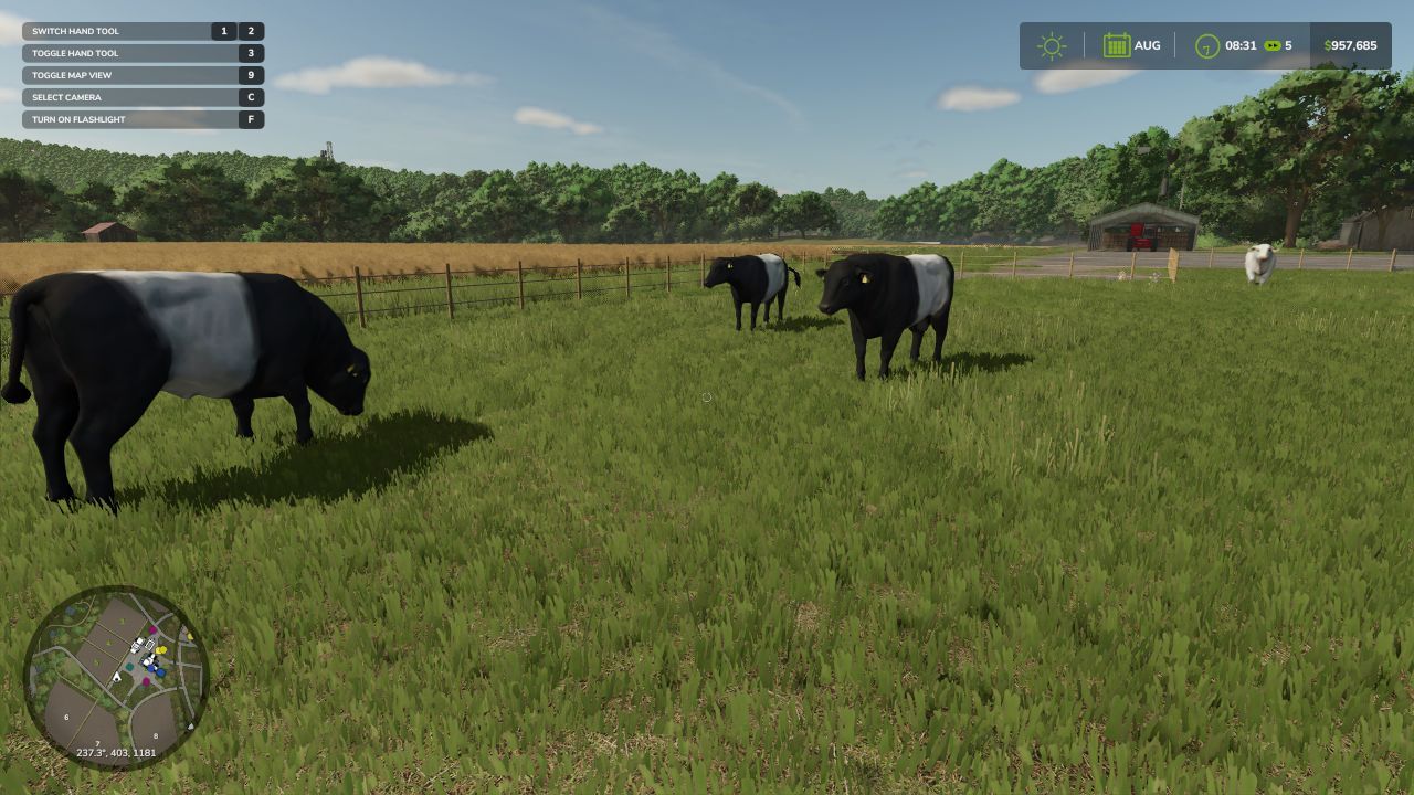 Новий Animal Pack – More Cattle Breeds Edition: Більше Порід ВРХ для Farming Simulator 25